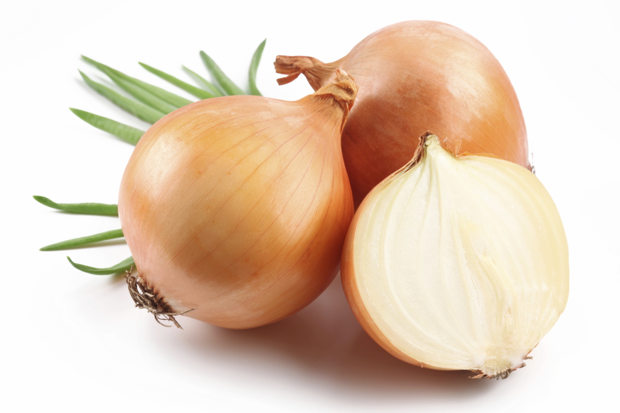 Image result for Onions