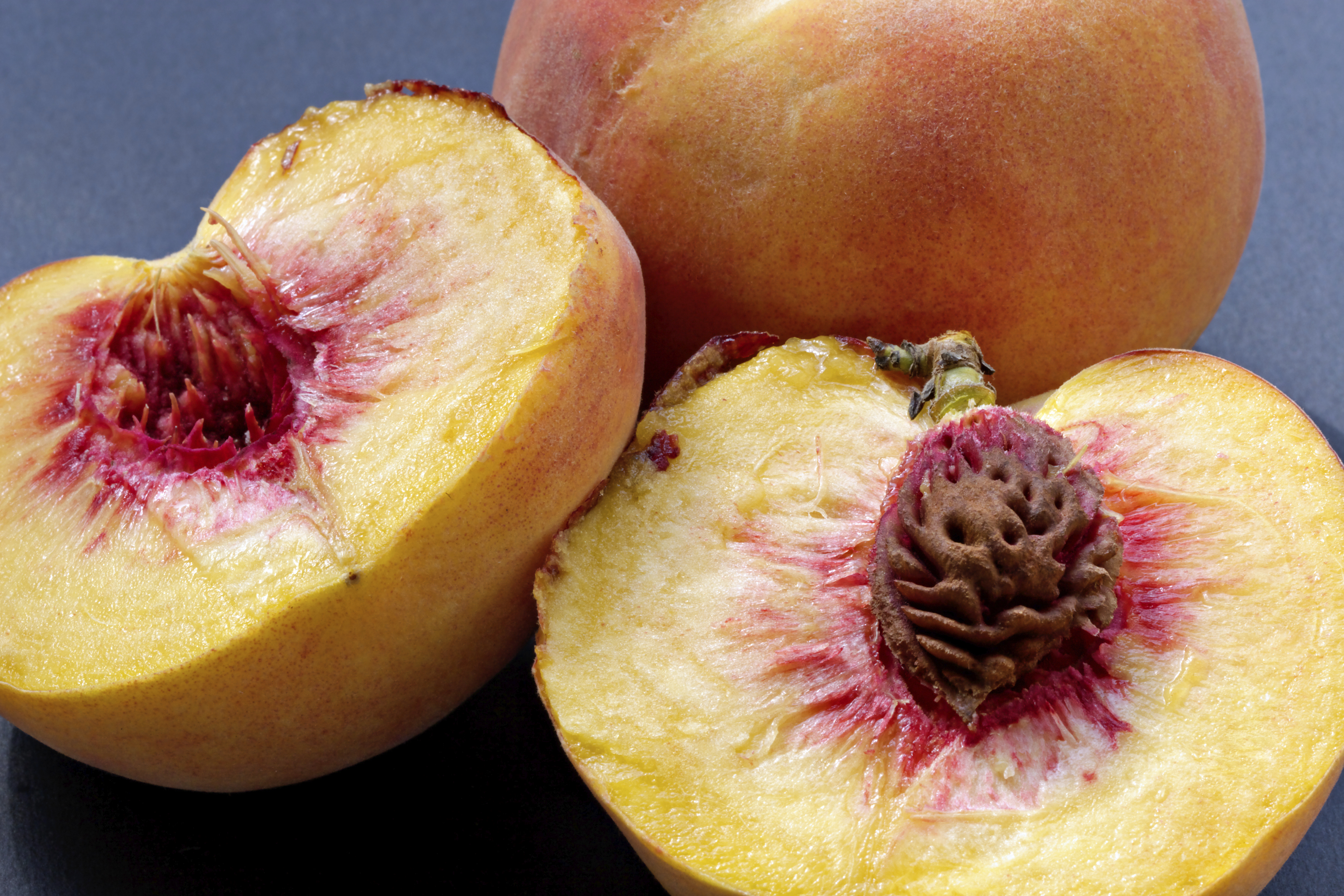 Peach Pits | Pet Poison Helpline 