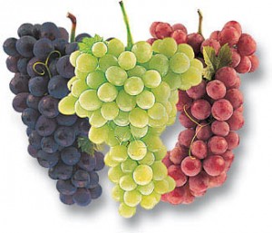 Grapes