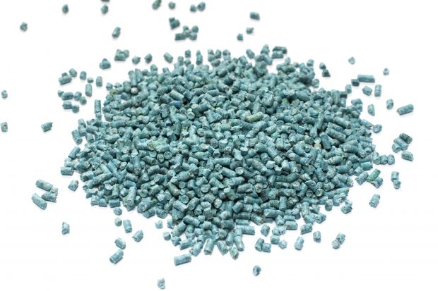 Halephirimi Rat Poisons are Toxic | Pet Poison Helpline®
