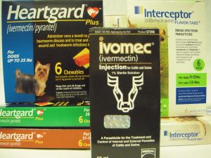 Ivermectin