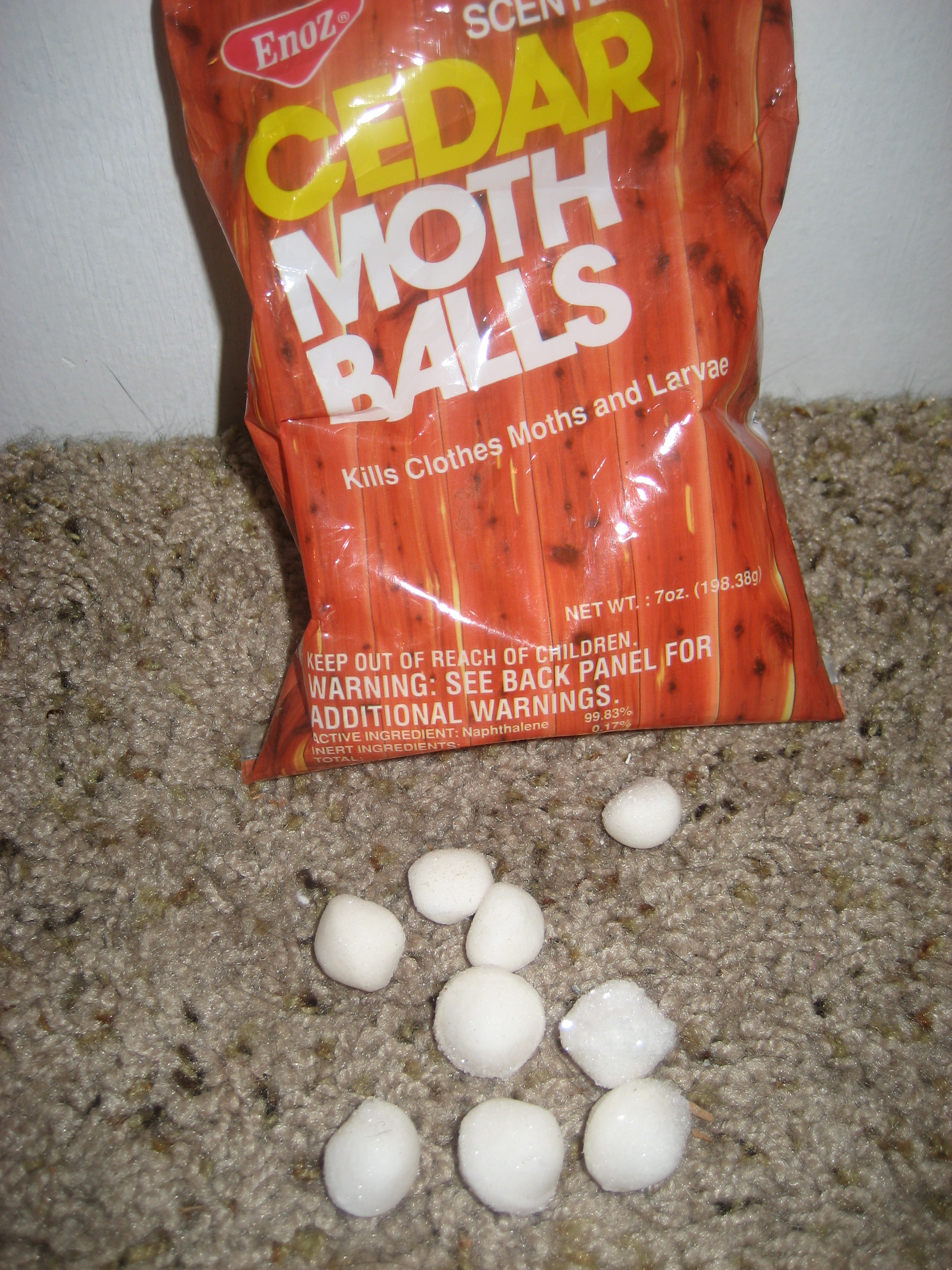 are mothballs toxic to cats and dogs