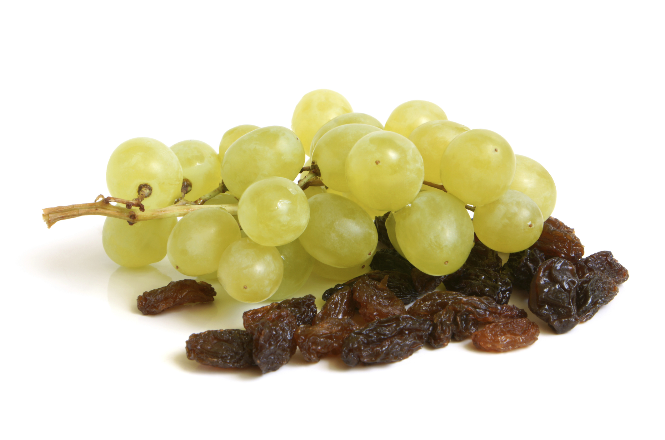 Are Currants And Raisins Bad For Dogs