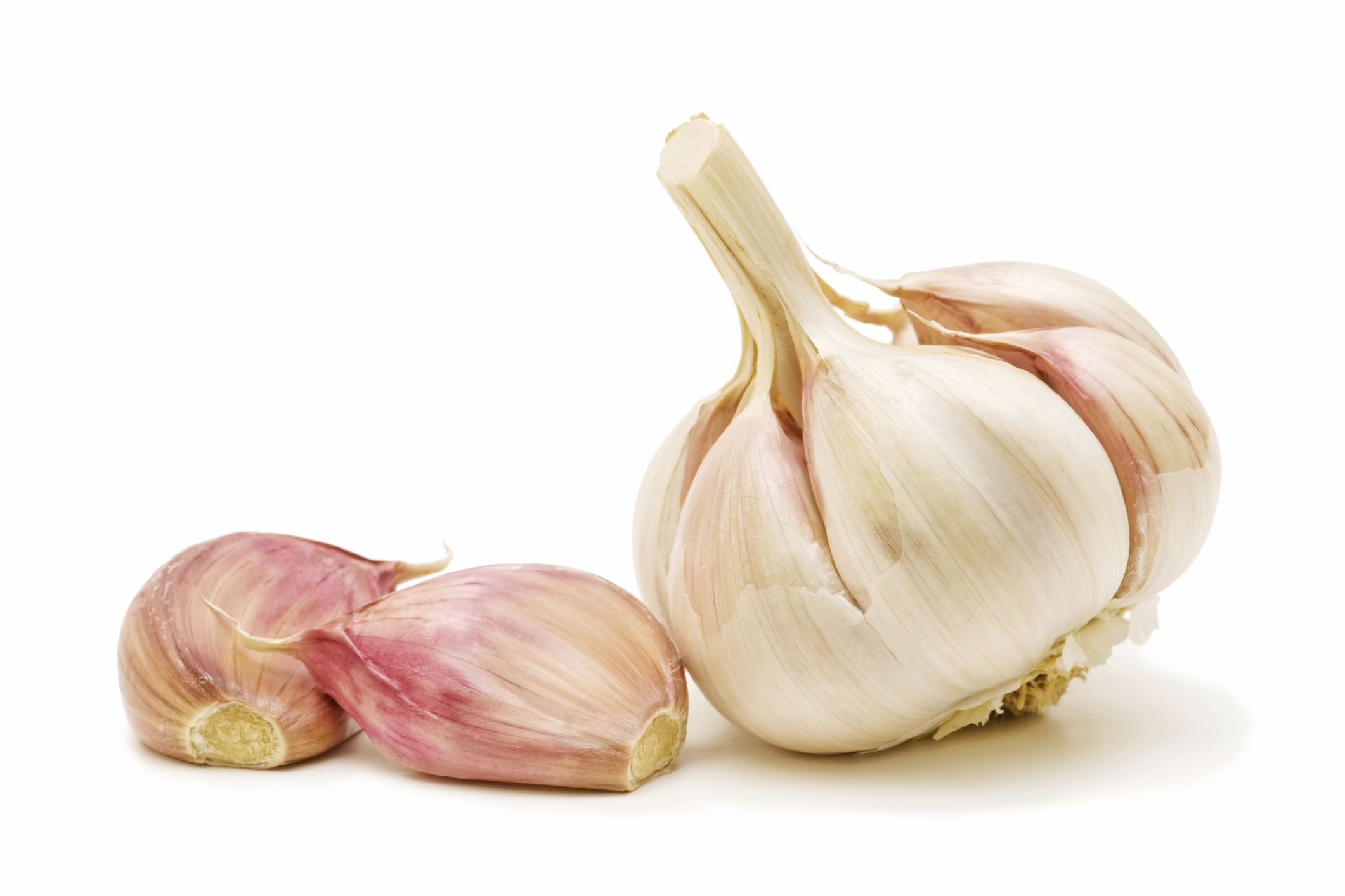 what can i give my dog if he ate garlic